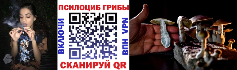Псилоцибиновые грибы Psilocybine cubensis  Купить закладки  Северо-Курильск 
