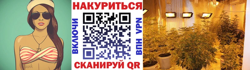 Конопля тримм  Купить где  Северо-Курильск 